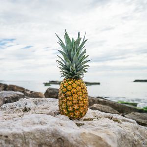 Preview wallpaper pineapple, rocks, beach