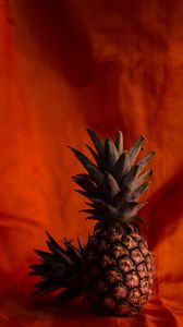 Preview wallpaper pineapples, fruit, brown, tropical