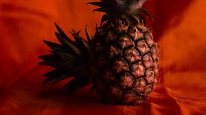 Preview wallpaper pineapples, fruit, brown, tropical