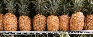 Preview wallpaper pineapples, fruit, tropical, shelf