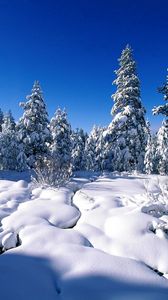 Preview wallpaper pines, snow, snowdrifts, river, water