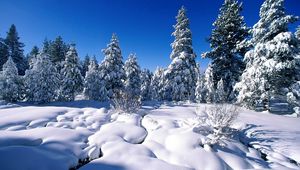 Preview wallpaper pines, snow, snowdrifts, river, water