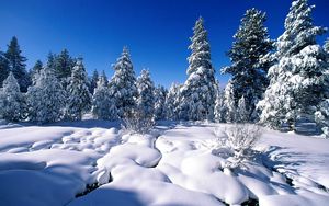 Preview wallpaper pines, snow, snowdrifts, river, water