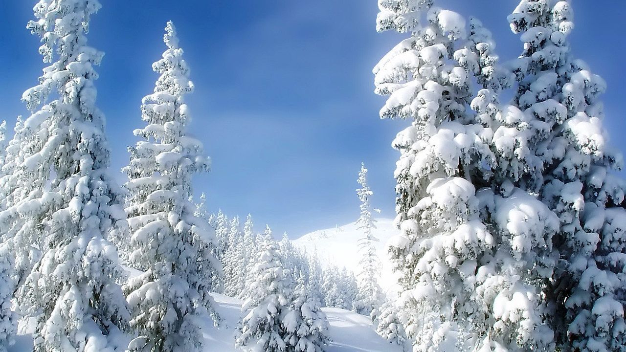 Wallpaper pines, winter, snow, snowdrifts, sky, fairy tale