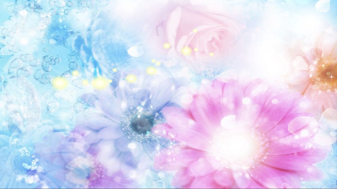 Wallpaper pink, blue, flowers, blurred, background, effects