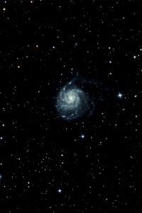Preview wallpaper pinwheel galaxy, galaxy, stars, space