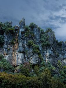 Preview wallpaper piopio, new zealand, rocks, stones, grass, trees