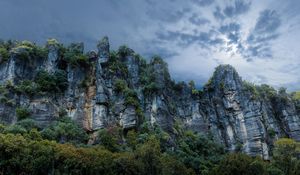 Preview wallpaper piopio, new zealand, rocks, stones, grass, trees