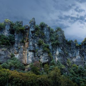 Preview wallpaper piopio, new zealand, rocks, stones, grass, trees