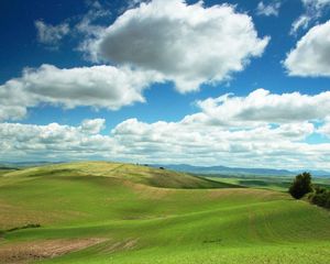 Preview wallpaper plain, greens, clouds, fields, tranquillity