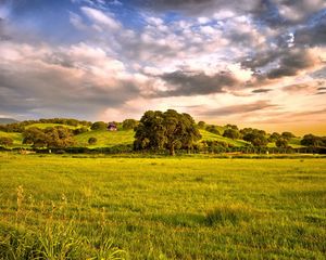 Preview wallpaper plain, greens, sun, mountains, trees, grass