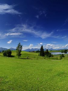 Preview wallpaper plain, trees, meadow, summer, heat, green, sky, solarly