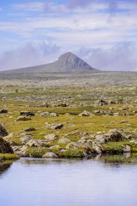 Preview wallpaper plain, valley, stones, mountain, pond, landscape