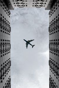 Preview wallpaper plane, clouds, buildings, bottom view, gray