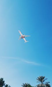 Preview wallpaper plane, flight, palm trees, sky, tropics