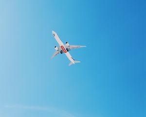 Preview wallpaper plane, flight, palm trees, sky, tropics