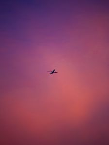 Preview wallpaper plane, flight, sky, pink