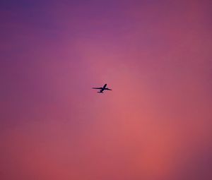 Preview wallpaper plane, flight, sky, pink