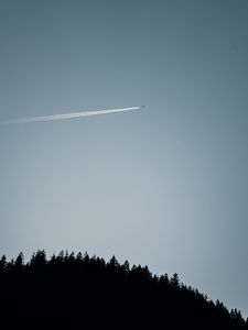 Preview wallpaper plane, flight, trail, trees, sky