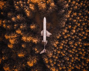 Preview wallpaper plane, forest, trees, aerial view