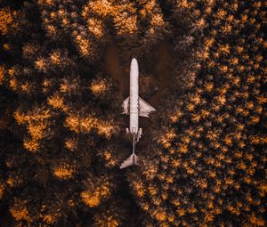 Preview wallpaper plane, forest, trees, aerial view