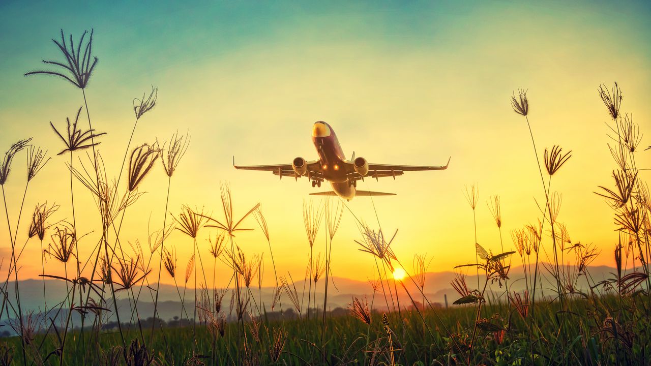Wallpaper plane, grass, takeoff, sky, sunset, dawn
