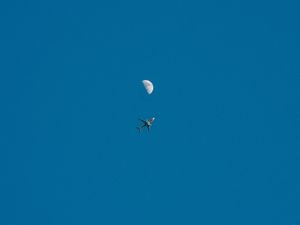 Preview wallpaper plane, moon, sky, flight