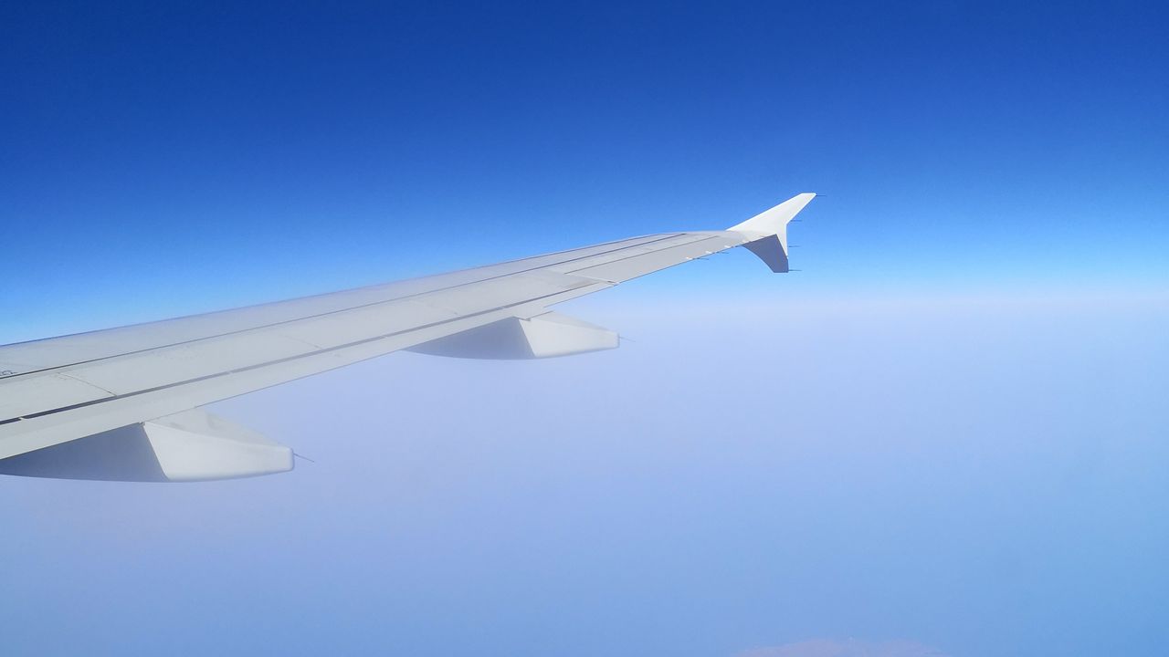 Wallpaper plane, wing, sky, blue