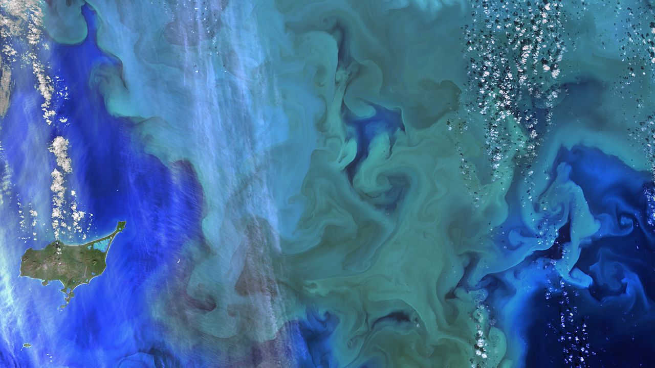 Wallpaper plankton, ocean, blue, aerial view