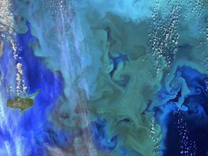 Preview wallpaper plankton, ocean, blue, aerial view