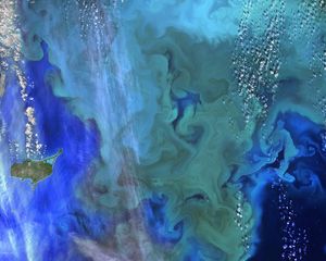 Preview wallpaper plankton, ocean, blue, aerial view