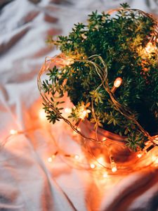 Preview wallpaper plant, basket, garland, light