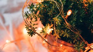 Preview wallpaper plant, basket, garland, light
