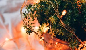 Preview wallpaper plant, basket, garland, light