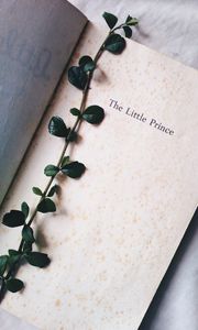Preview wallpaper plant, book, inscription, words
