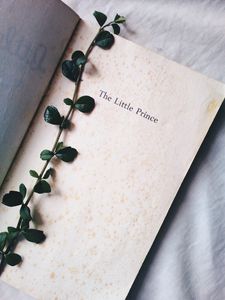 Preview wallpaper plant, book, inscription, words