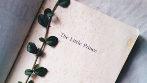 Preview wallpaper plant, book, inscription, words
