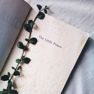 Preview wallpaper plant, book, inscription, words