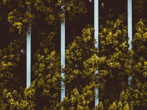 Preview wallpaper plant, leaves, fence, green