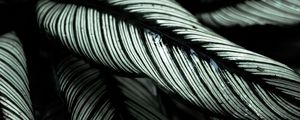 Preview wallpaper plant, leaves, striped, tropical