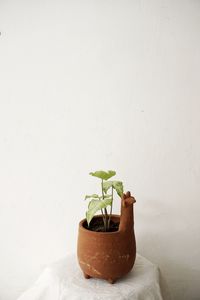 Preview wallpaper plant, pot, decor, minimalism