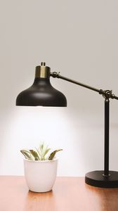 Preview wallpaper plant, pot, lamp, table, light