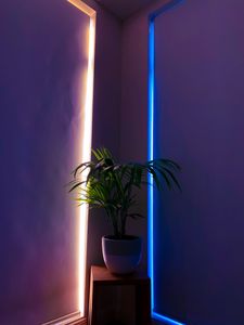 Preview wallpaper plant, pot, neon, backlight, decorative