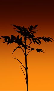 Preview wallpaper plant, silhouette, stem, orange