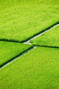 Preview wallpaper plantation, field, greenery, aerial view