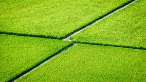 Preview wallpaper plantation, field, greenery, aerial view