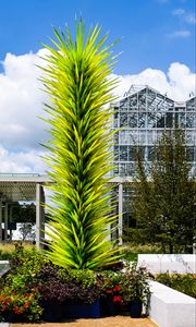 Preview wallpaper plants, flower beds, building, sky, clouds