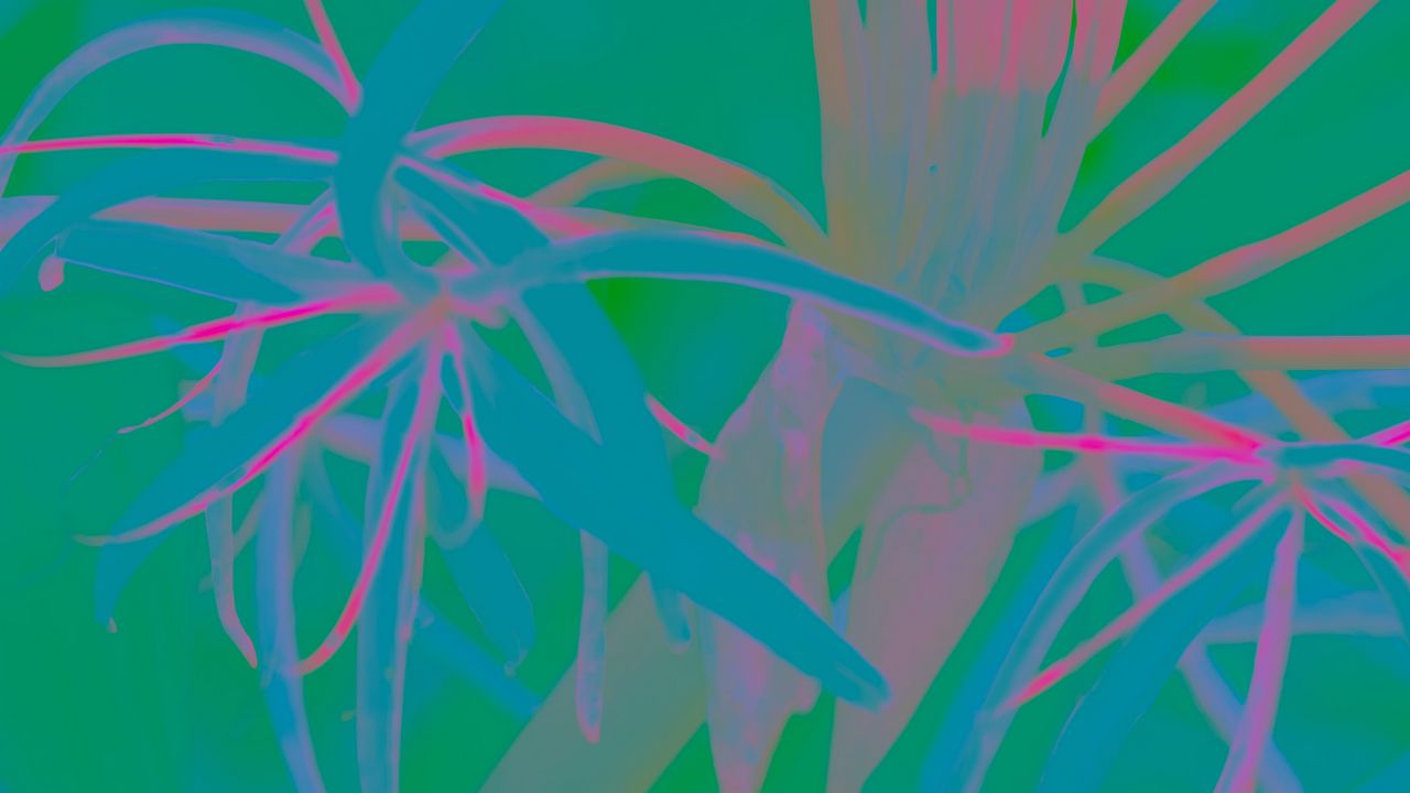 Wallpaper plants, leaves, bright, neon, abstraction