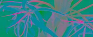 Preview wallpaper plants, leaves, bright, neon, abstraction