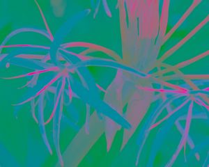Preview wallpaper plants, leaves, bright, neon, abstraction